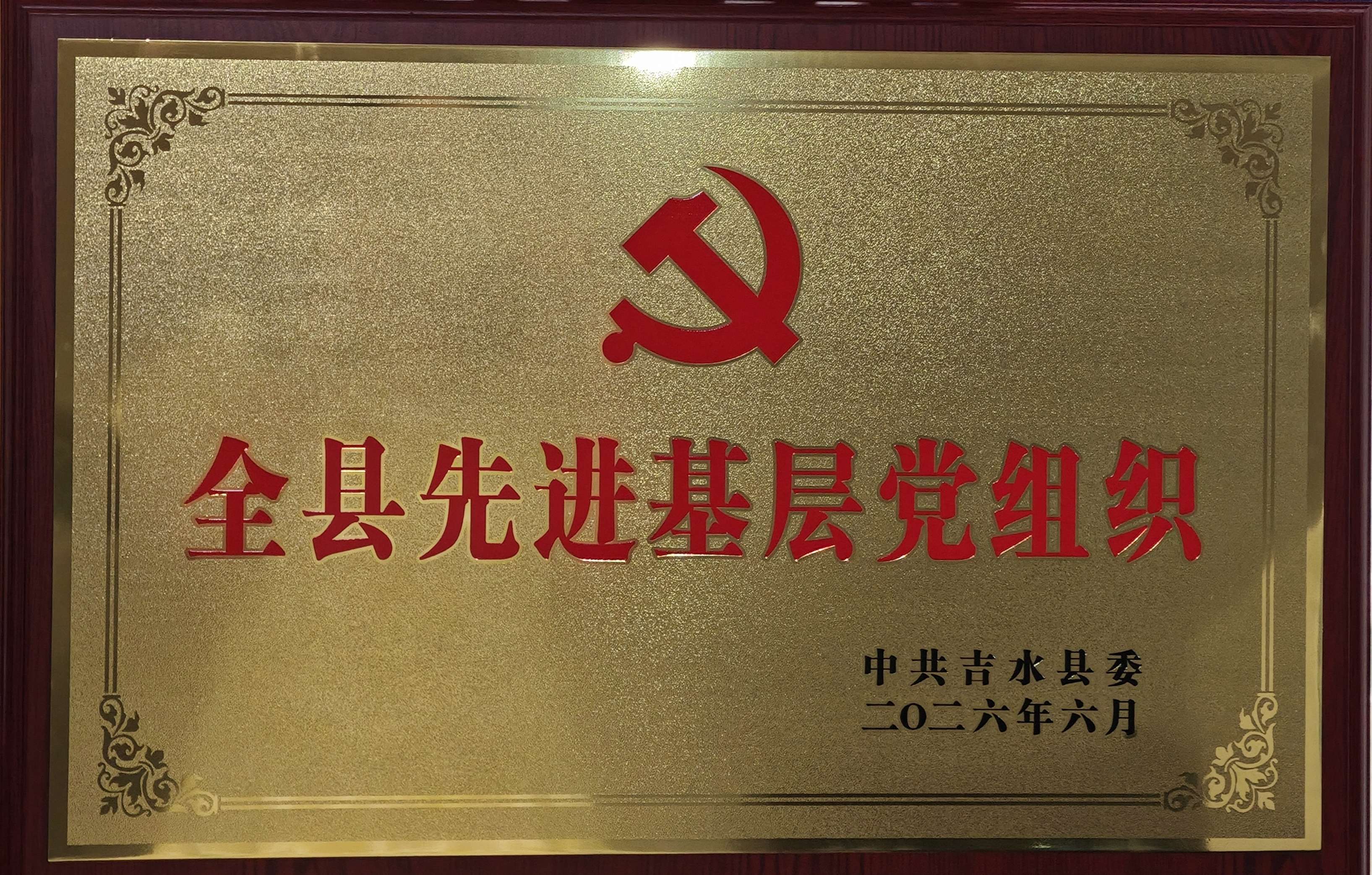 2026�꼪ˮ��������Ժ���ص�֧��������ȫ���Ƚ����㵳��֯��