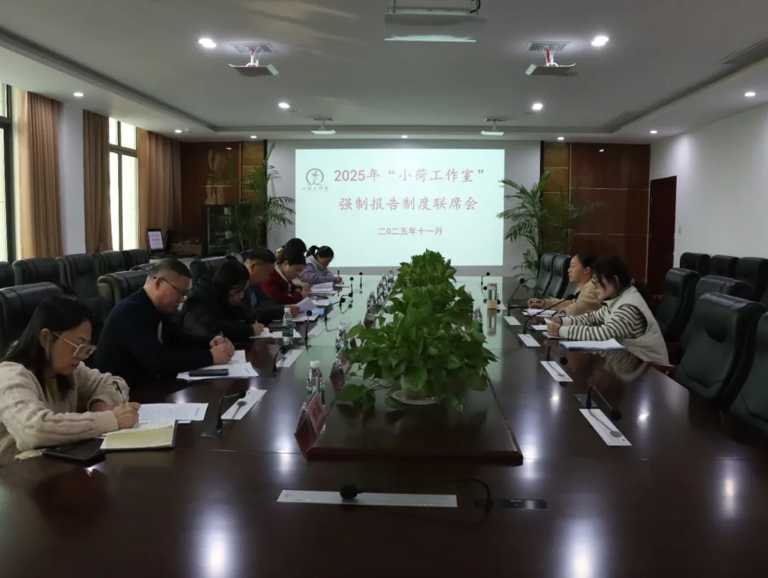 ��С�ɳ�¶����С�ɹ����ҡ��ٿ�2025��ǿ�Ʊ����ƶ���ϯ��